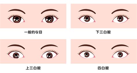 桃花眼 三白眼|桃花眼とは？意味と読み方＆二重/一重別魅惑の色っ。